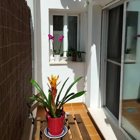 Apartment Estudio 52 Centrico Parking Gratuito Malaga